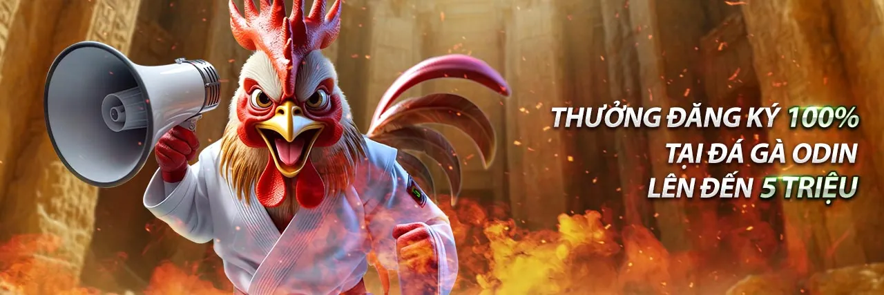 Quy trình đăng nhập M88